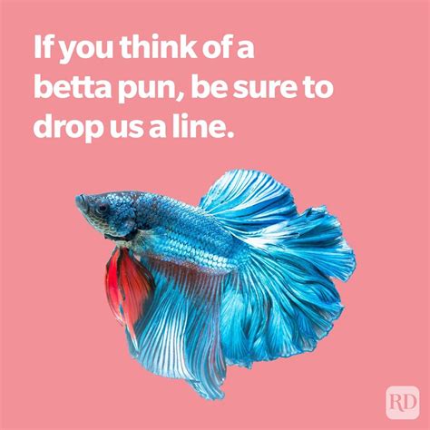 153 Fish Puns and Jokes That Will Split Your Gills .